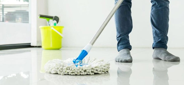 Specialized Cleaning Services in Mount Coot-tha